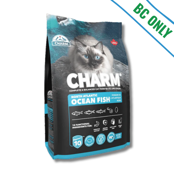 Charm - Cat - North Atlantic Ocean Fish