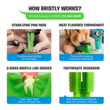 Bristly Brushing Stick