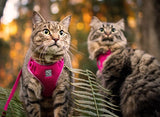 RC PET ADVENTURE KITTY HARNESS-BLACK