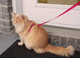 RC PET PRIMARY KITTY HARNESS-RASPBERRY