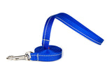 RC PET PRIMARY KITTY LEASH