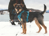 RC PET MOMENTUM CONTROL HARNESS-TENNIS