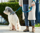 RC PET P.U.P. BAG