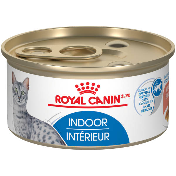 RC FHN Indoor Adult Morsels in Gravy