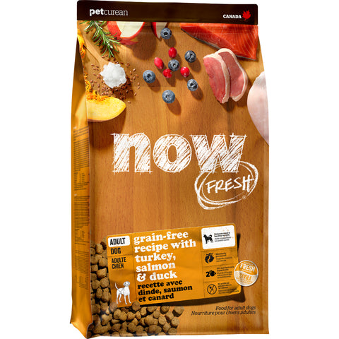NOW FRESH ADULT