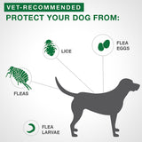 Advantage II - Large Dog 11-25kg