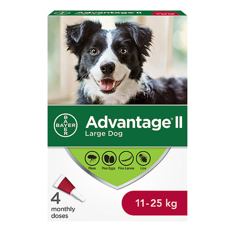 Advantage II - Large Dog 11-25kg