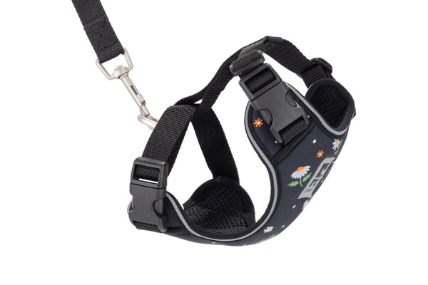 RC PET ADVENTURE KITTY HARNESS - Daisies