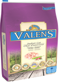 VALENS INDOOR CAT