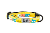 RC PET KITTY BREAKAWAY COLLAR
