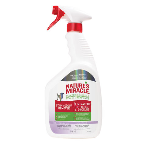 NATURE'S MIRACLE STAIN & ODOR REMOVER