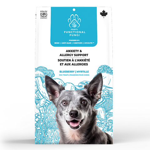 Foley's Functional Fungi Dog Anxiety&Allergy Blueberry 200g