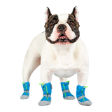 Canada Pooch Hot Pavement Boots Blue