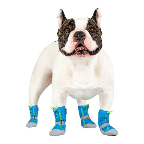 Canada Pooch Hot Pavement Boots Blue