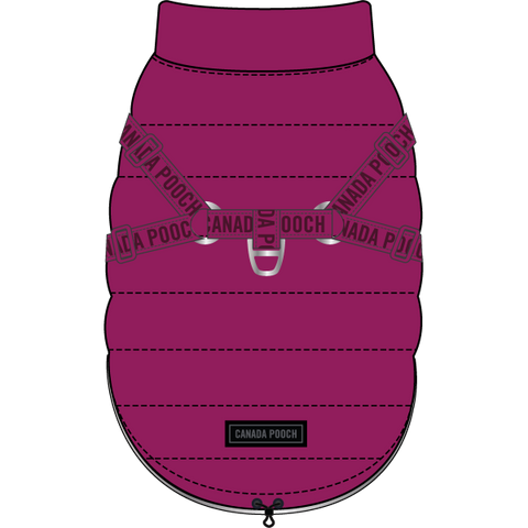 Canada Pooch The Harness Puffer Plum