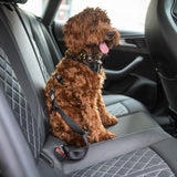 GF PET Pet Seat Belt