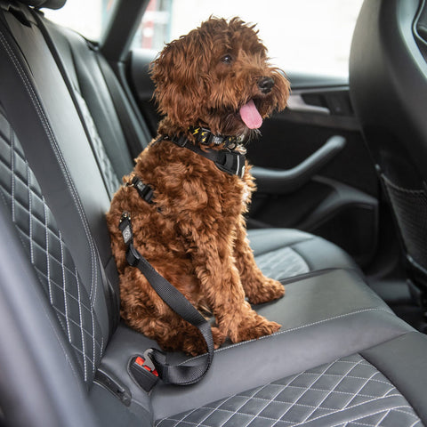 GF PET Pet Seat Belt