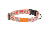 RC Pets Eco Clip Collar