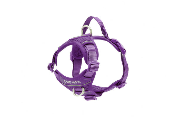 RC PET MOMENTUM CONTROL HARNESS-PURPLE