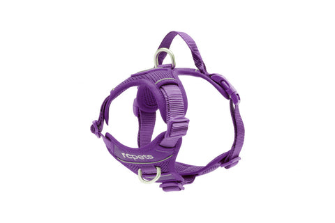RC PET MOMENTUM CONTROL HARNESS-PURPLE