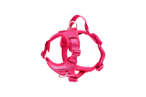 RC PET MOMENTUM CONTROL HARNESS-AZALEA