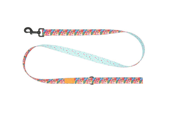 Eco Leash