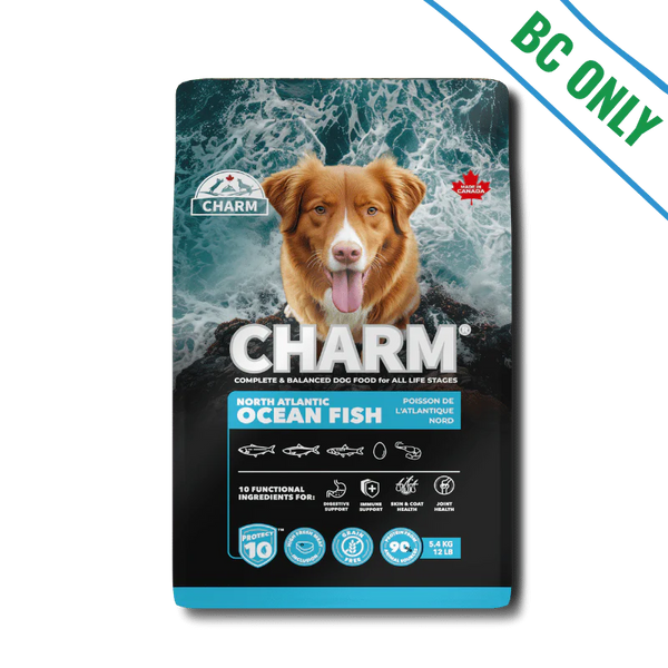 Charm - Dog - North Atlantic Ocean Fish