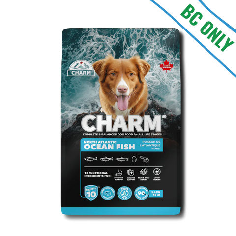 Charm - Dog - North Atlantic Ocean Fish