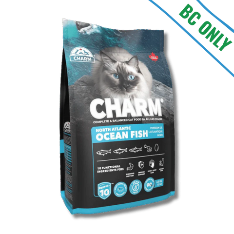 Charm - Cat - North Atlantic Ocean Fish