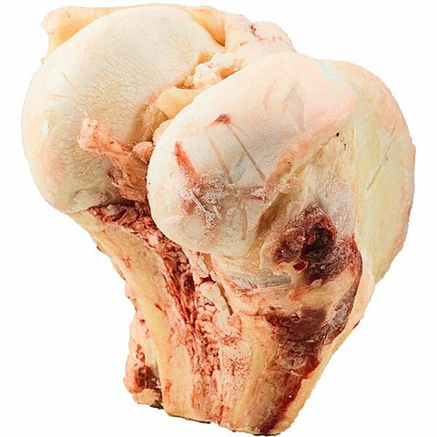 Frozen - Buffalo Knuckle Bones