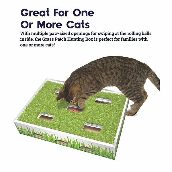 Grass Patch Hunting Box | Cat