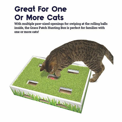 Grass Patch Hunting Box | Cat