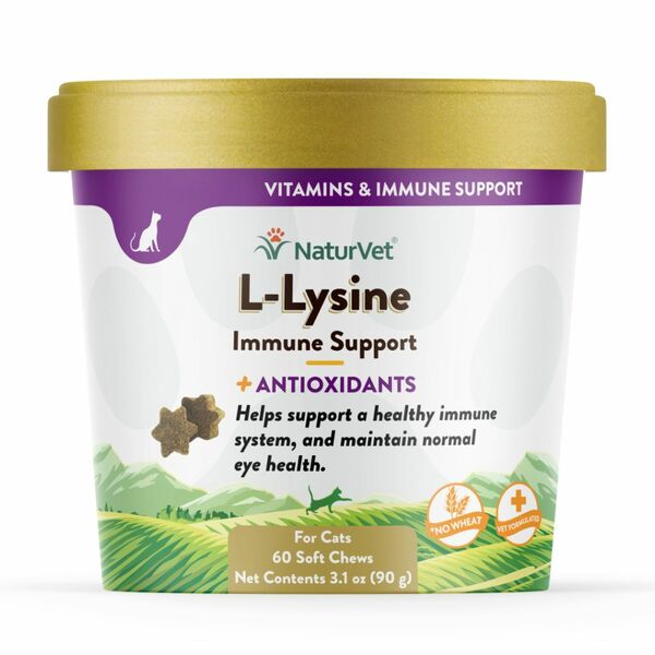 L-Lysine Soft Chew 60CT | Cat