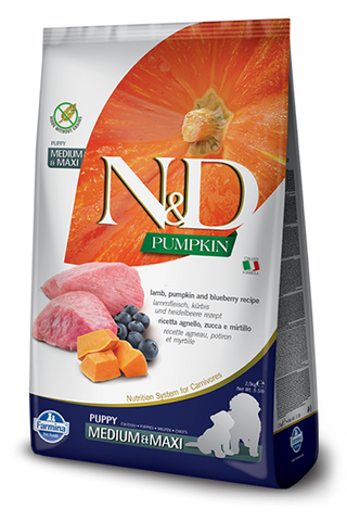 Farmina N&D PUPPY Pumpkin Lamb & Blueberry MED & MAXI