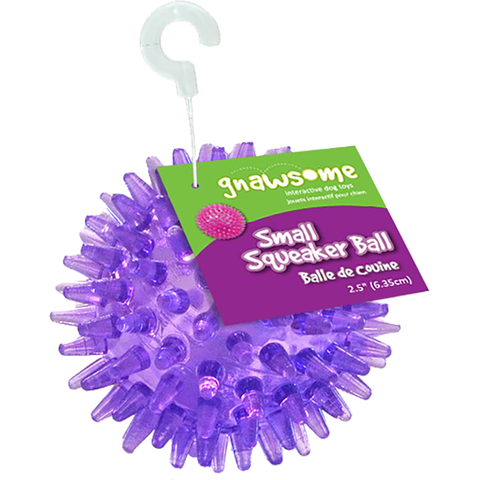 ROYAL PET : Gnawsome Ball
