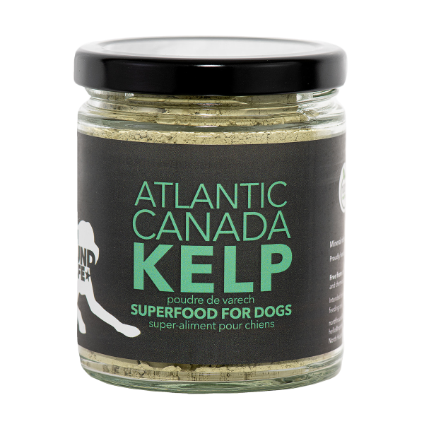 North Hound Life Dog Organic Canada Atlantic Kelp 250 ml