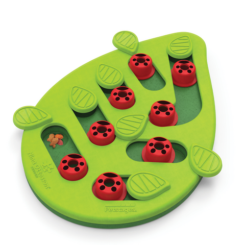 Puzzle & Play Buggin Out Green Cat