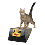 OMEGA PAW : MOUNTAIN ANGLED SCRATCH BOX