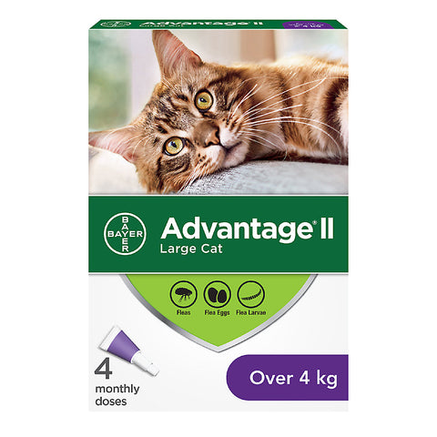 Advantage II - Large Cat over 4kg