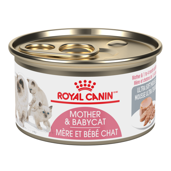 ROYAL CANIN CAN: BABYCAT INSTINCTIVE LOAF IN SAUCE CAT 24/CASE