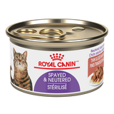 ROYAL CANIN CAN: SPAYED/NEUTERED THIN SLICES IN GRAVY CAT 24/CASE
