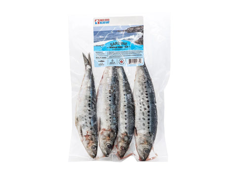 Whole Sardine