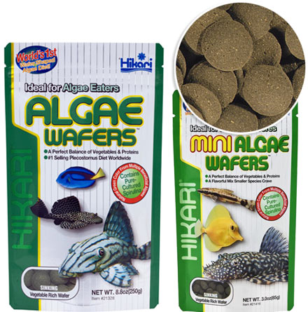 SINKING ALGAE WAFERS